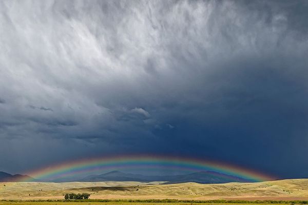 Montana Rainbow over stormy landscape